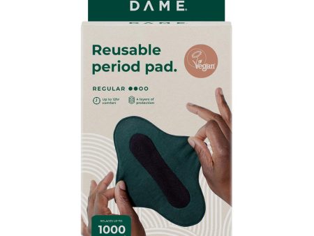 DAME Reusable Pad with Organic Cotton Shell 1 Unit For Cheap